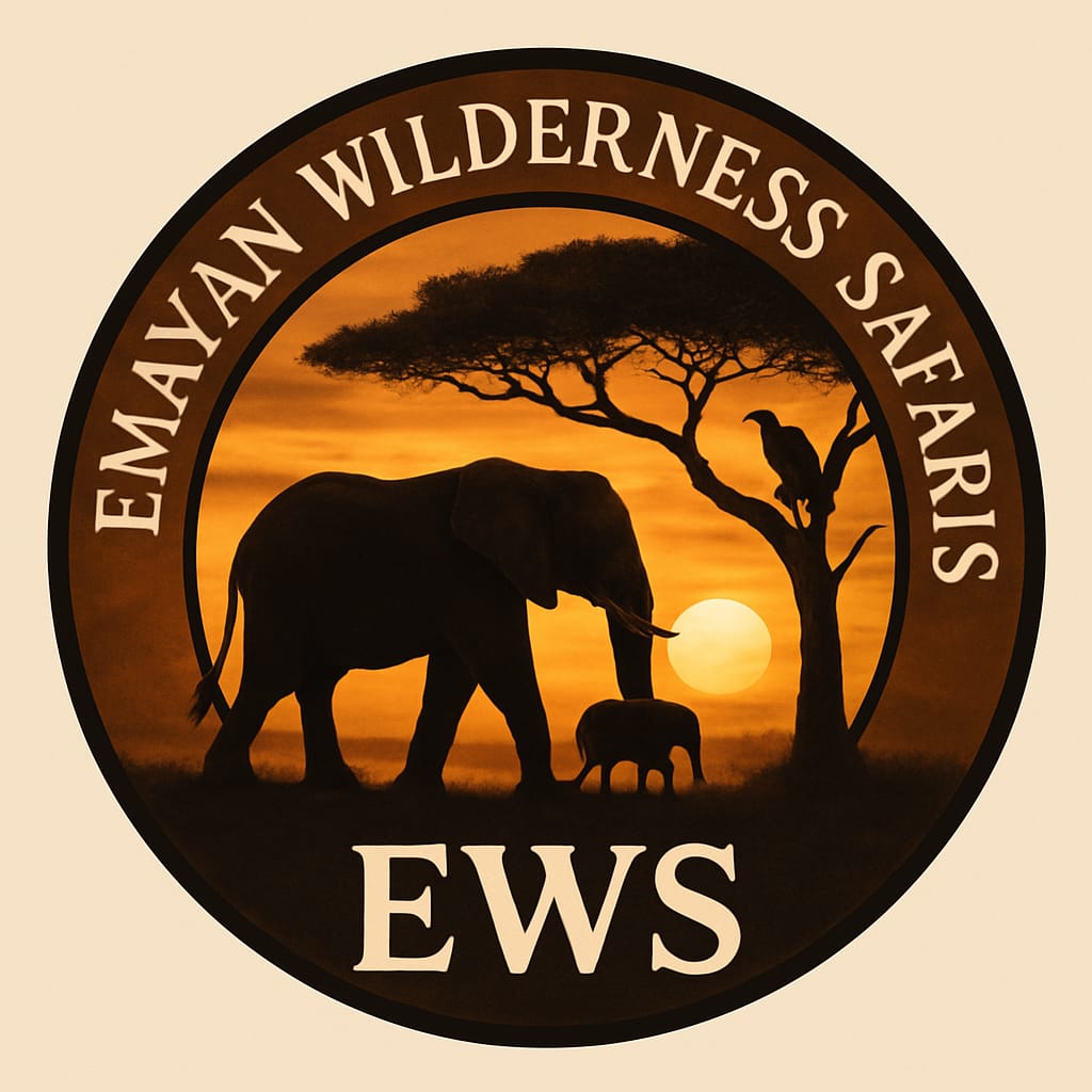 EWS logo